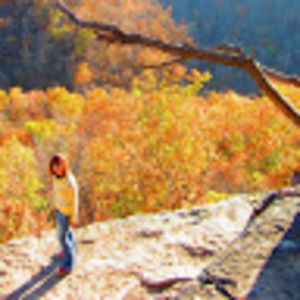 Meet your Posher, Manna